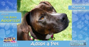 KHTS-Adopt-a-Pet-Muneca - Adopted