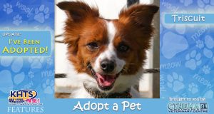 KHTS-Adopt-a-Pet-Triscuit - Adopted