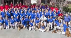 Henry Mayo Newhall Hospital, Volunteers, National Volunteer Appreciation Week, Hospital Volunteers, patients, care, comfort, helping, community, Santa Clarita Valley, Santa Clarita
