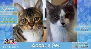 KHTS-Adopt-a-Pet-Hope-and-Wobble - Wobble Adopted
