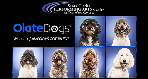 Olate Dogs, Season 7 Winners of “America’s Got Talent” at the PAC - Top Things to do in Santa Clarita