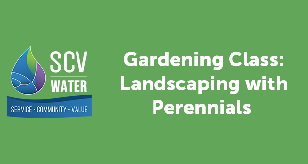 SCV Water Gardening Class: Landscaping with Perennials - Top Things to do in Santa Clarita