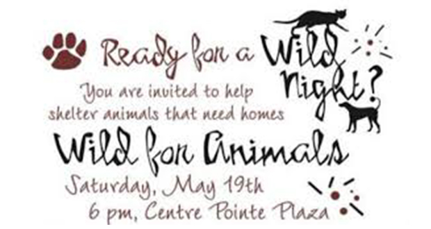Wild for Animals Fundraiser Benefiting Castaic Animal Care Center - Top Things to do in Santa Clarita