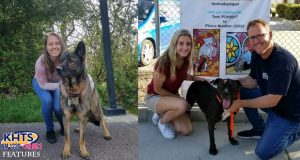 KHTS Adopt A Pet Series Reaches 82 Adoptions, 13 Pets Still Waiting For Forever Homes