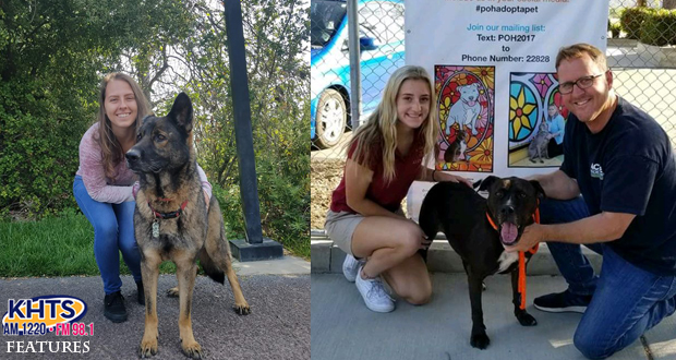 KHTS Adopt A Pet Series Reaches 82 Adoptions, 13 Pets Still Waiting For Forever Homes