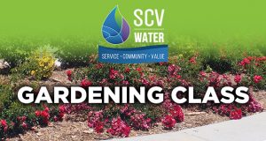 SCV Water Gardening Classes - Top Things to do in Santa Clarita
