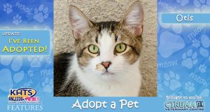KHTS-Adopt-a-Pet-Otis-Adopted