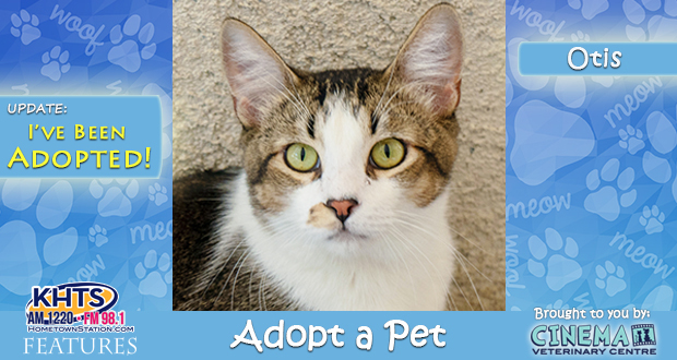 KHTS-Adopt-a-Pet-Otis-Adopted