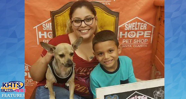 ‘KHTS Adopt A Pet’ Series Reaches 93 Adoptions, 14 Featured Animals Still Waiting For Homes
