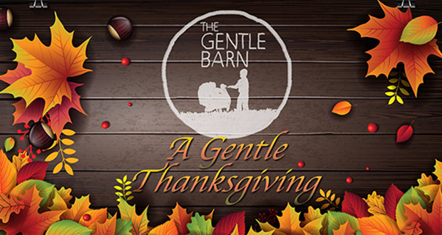 A Gentle Thanksgiving at the Gentle Barn - Top Things to do in Santa Clarita