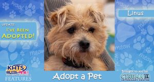 KHTS-Adopt-a-Pet-Featured-Image-Linus Adopted