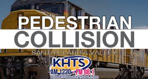 Pedestrian Collision with Train