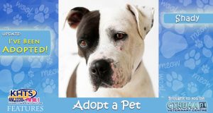 KHTS-Adopt-a-Pet-Shady Adopted
