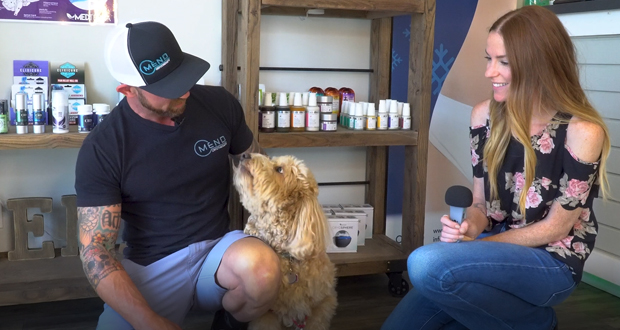 CBD for Dogs - MEND Cryotherapy