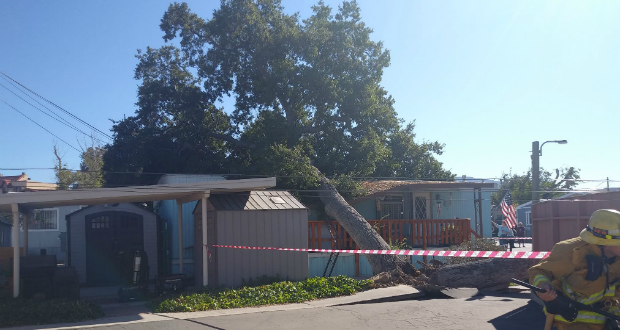 Canyon Country Mobile Home Collapse