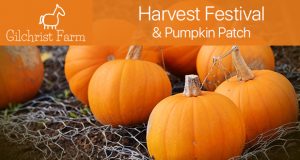 Gilchrist Farm Harvest Festival and Pumpkin Patch Now through 10/31- Top Things to do in Santa Clarita