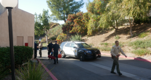 Newhall Assault Felony Battery 2