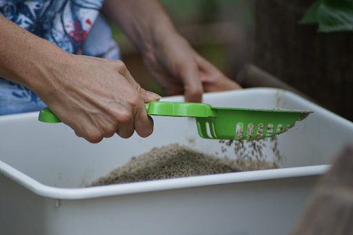 Cat Litter