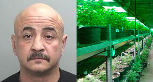 Marijuana Grow Security Guard From Newhall Arrested In NorCal For Weapons Possession