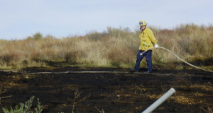 Saugus Brush Fire Plum Fire Santa Clarita Fire