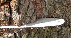 Image of chainsaw