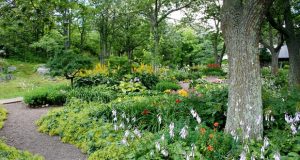 Garden Path