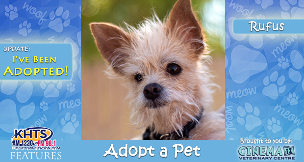 Khts Adopt A Pet Rufus St Bonnie S Sanctuary Video