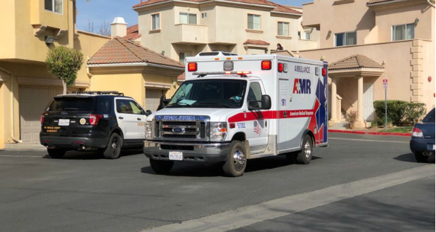Canyon Country Domestic Violence Pedestrian Crash