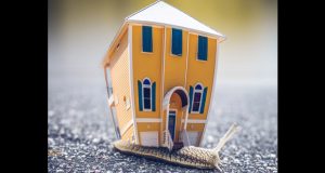 Miniature House on top of a snail