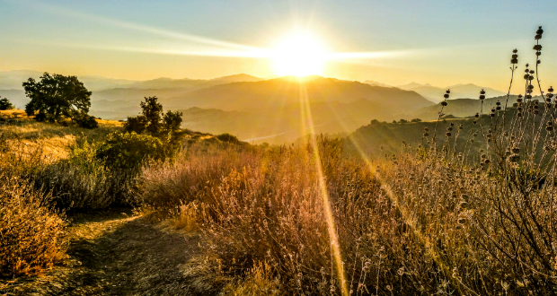 Safe Ways To Stay Active During Coronavirus Social Distancing