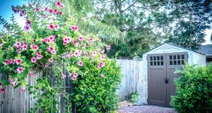 Storage shed in garden