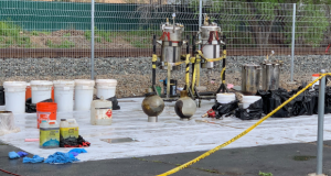 Cannabis Bust Saugus