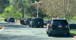 Santa Clarita Central Park Mayhem