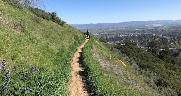 Santa Clarita Sister Cities Charity Hike- Top Things to do in Santa Clarita