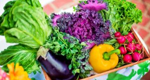 Basket of vegetables