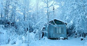 Home in winter woods