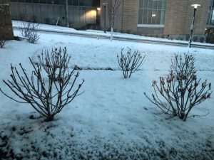 omaha snow 031520