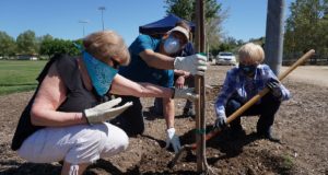 earth arbor day 2020 042420