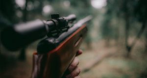 Rifle being aimed in the woods