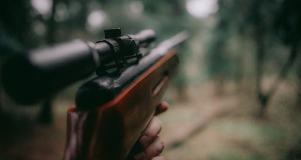 Rifle being aimed in the woods