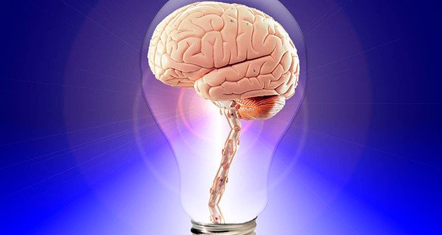 Brain inside a light bulb