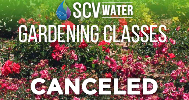 SCV Water Gardening Classes- Top Things to do in Santa Clarita