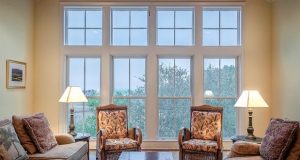 Living room windows