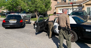 Deputies on the 26000 block of Salinger Lane