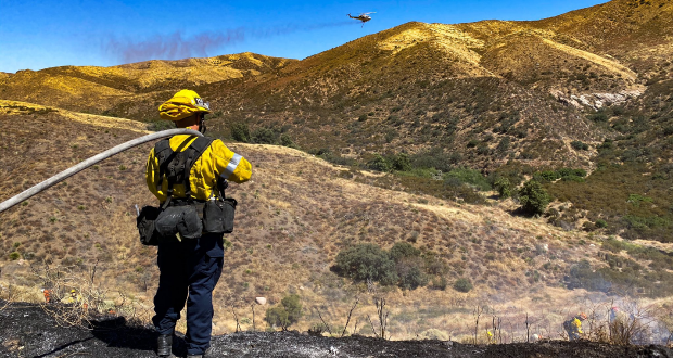 Canyon Fire Acton Fire Brush Fire 14 Freeway Fire