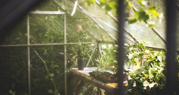 Greenhouse