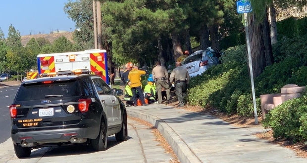 The vehicle over the curb and into a tree on the eastbound Newhall Ranch Road.