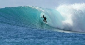 Surfer