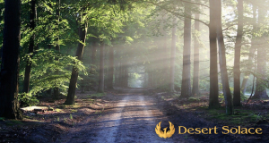 Desert Solace - Inpatient Porn Addiction Treatment Facility Desert Solace Explains ‘The Law Of Nonresistance’ - A sunlit path into a beautiful wooded area with rays of light beaming through the trees