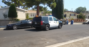 Canyon Country Crime